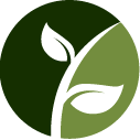 Weigela Pruning Service Pros