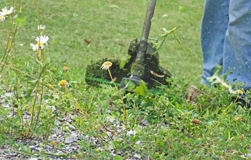 Weigela Pruning Service