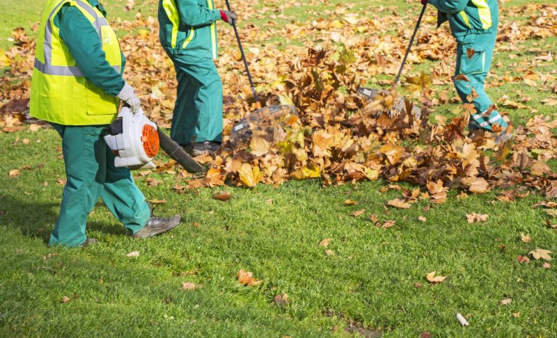 Tools for Leaf Clearing