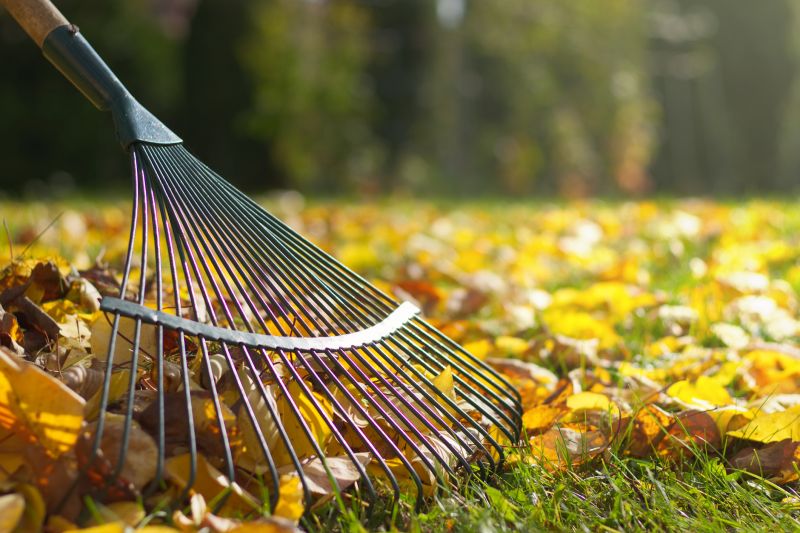 Fall Lawn Maintenance Tools