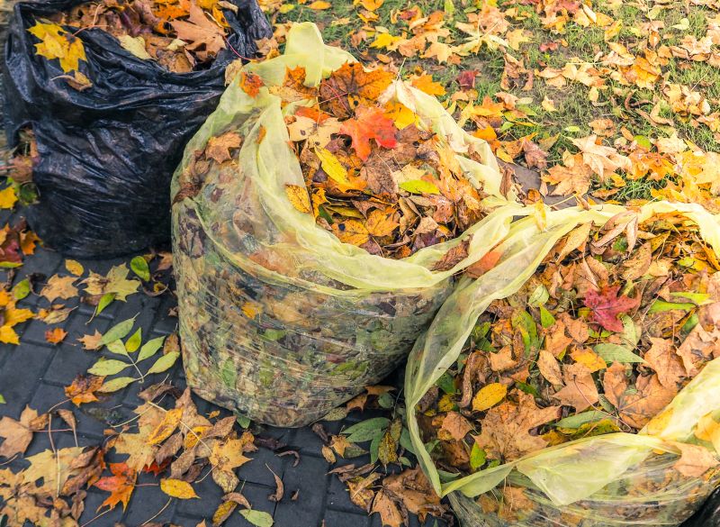Leaf Collection and Disposal